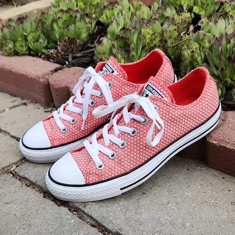 Converse Chuck Taylor Sneakers
